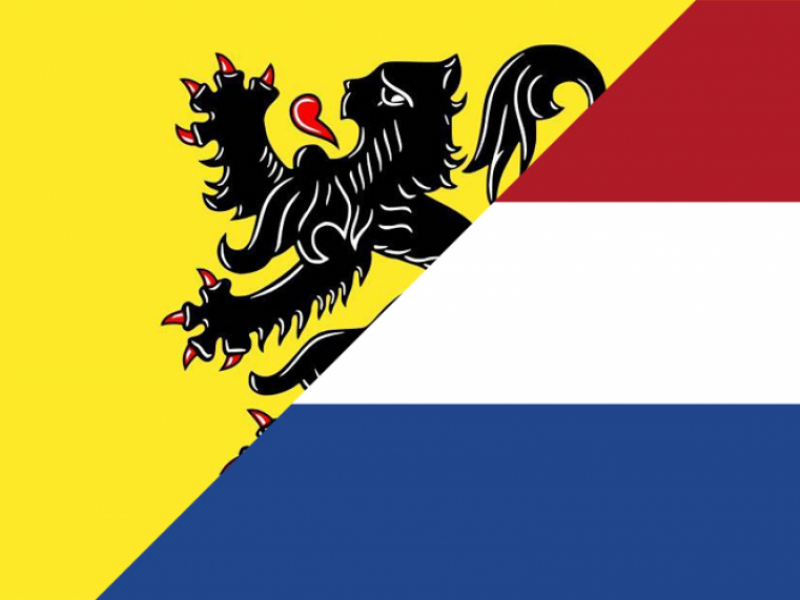 dutch flemish flag